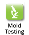 Mold