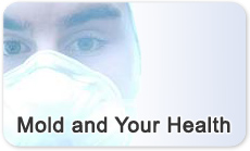 Mold and Your Health