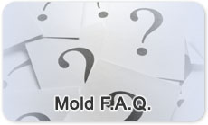 Frequently Asked Questions About Mold (Mold FAQ)