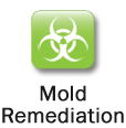 Mold