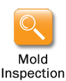 Mold